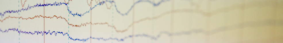 Trace